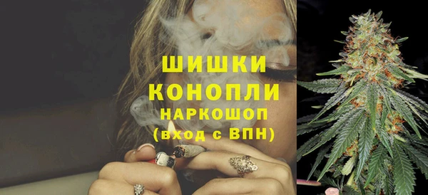 Альфа ПВП Ростов