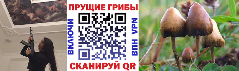 Галлюциногенные грибы прущие грибы  Купить где  Нерюнгри 